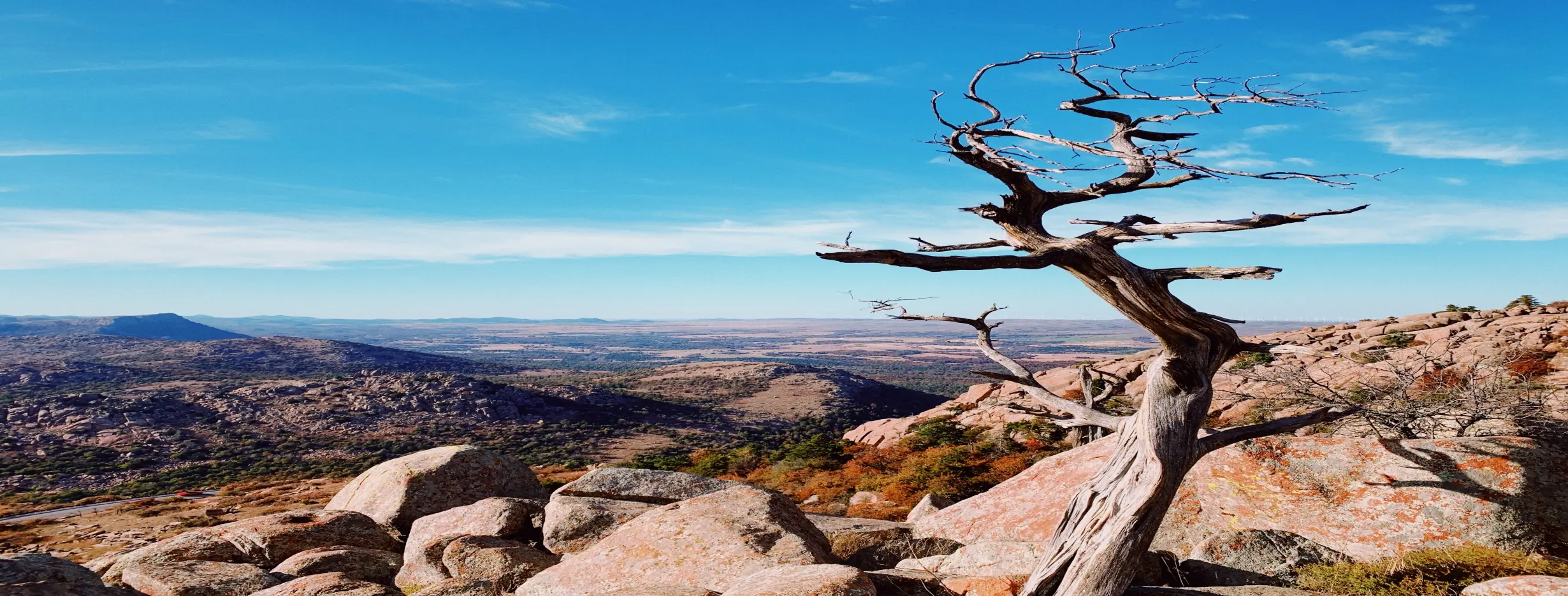 Image for Diverse Landscape